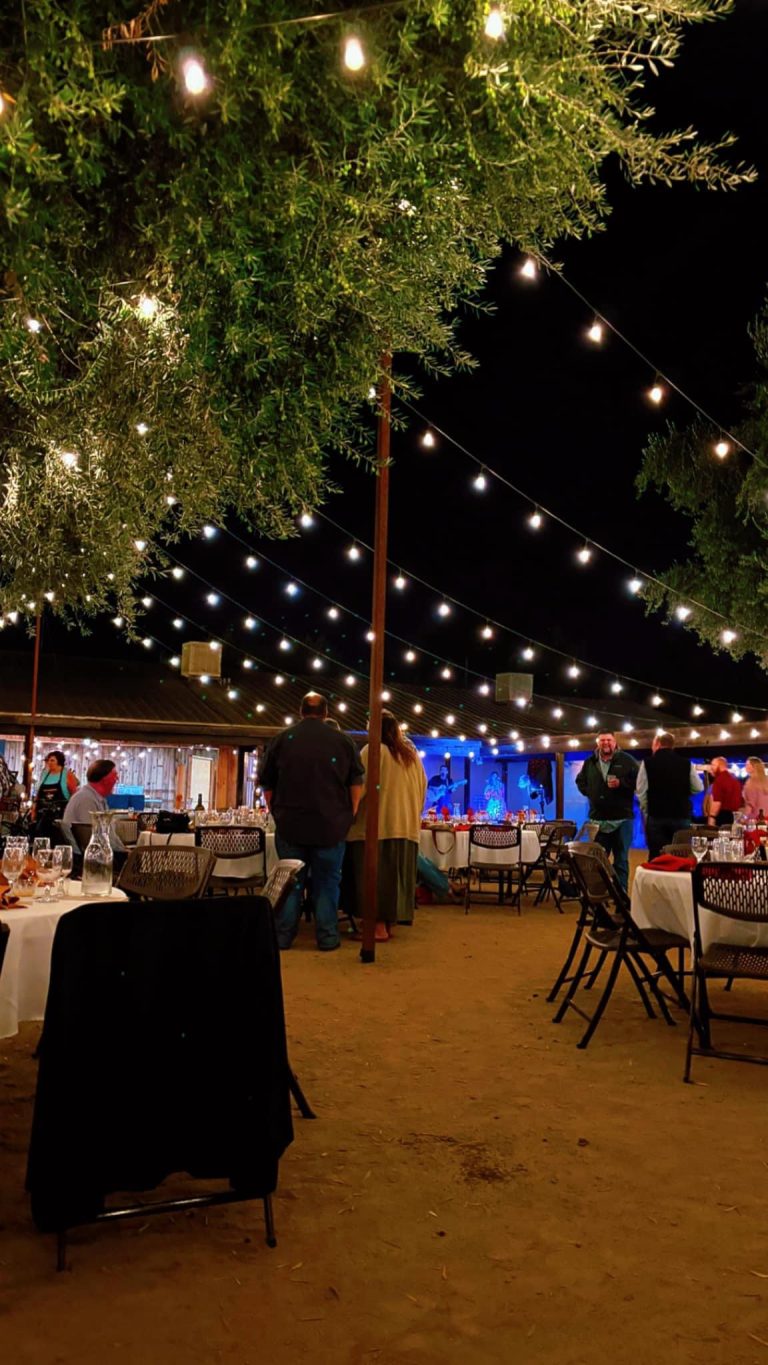 Evening Under The Stars