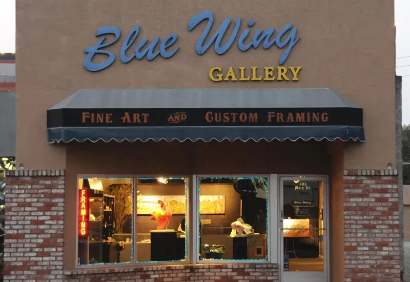 Blue Wing Store Dusk Web 2